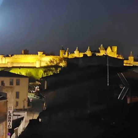 Face Au Canal Du Midi Каркассон Экстерьер фото